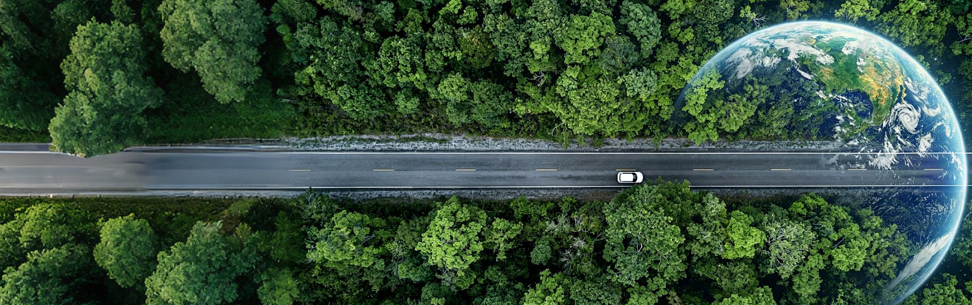 森林公路与地球